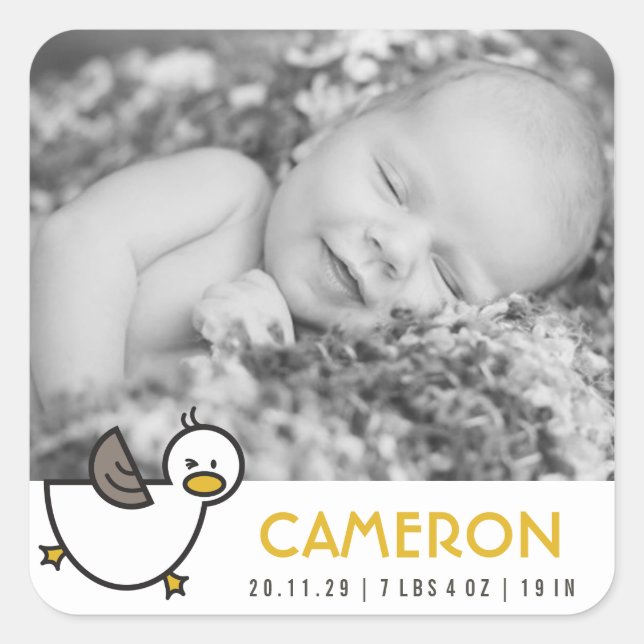 Playful Cute Duck New Birth Baby Boy Photo Sticker (Front)