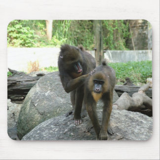 Playful, cute, smart and friendly baboons mouse pad