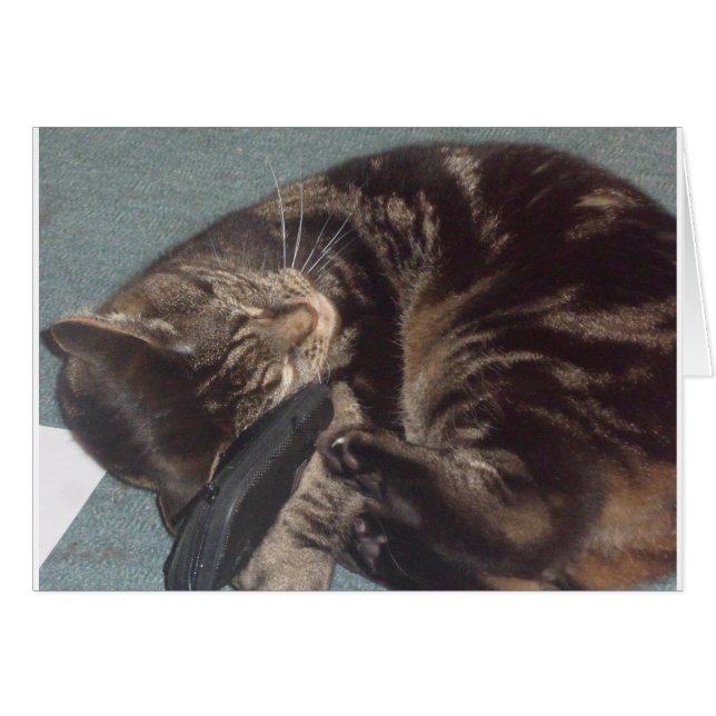 Playful Dave (Front Horizontal)