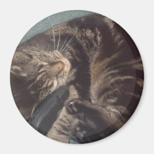 Playful Dave Large, 7.6 Cm Round Magnet