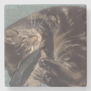 Playful Dave Marble Stone Coasters