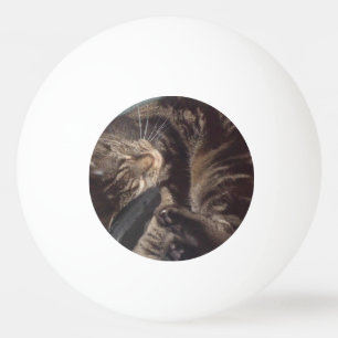 Playful Dave One Star Ping Pong (Table Tennis)Ball Ball