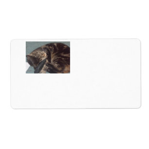 Playful Dave Shipping Labels (8 on a sheet)