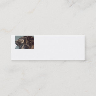 Playful Dave Skinny White Business Cards (20 Pack)