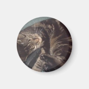 Playful Dave Small, 3.2 Cm Round Magnet