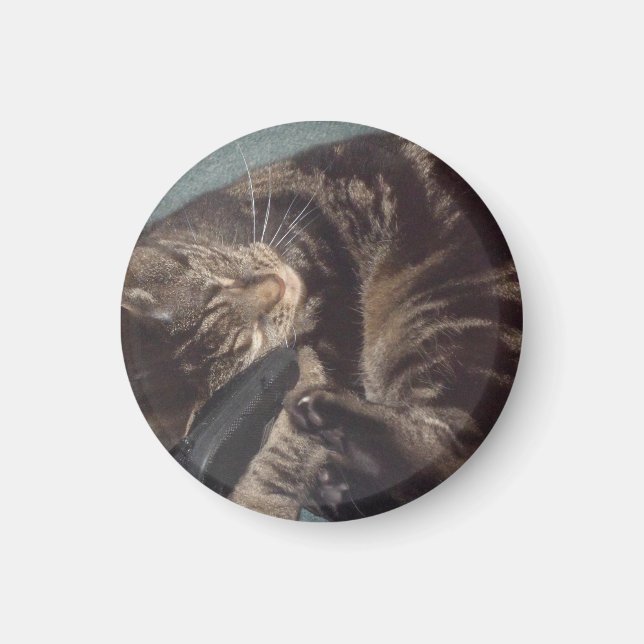 Playful Dave Small, 3.2 Cm Round Magnet (Front)