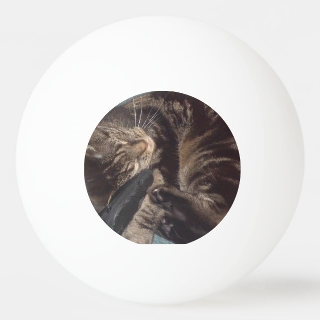 Playful Dave Three Star Ping Pong Ball (Front)