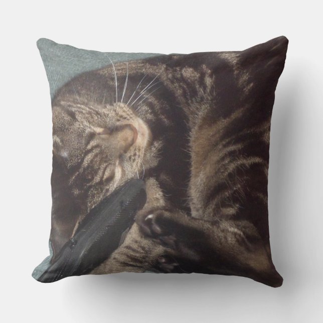 Playful Dave Throw Pillow (Front)