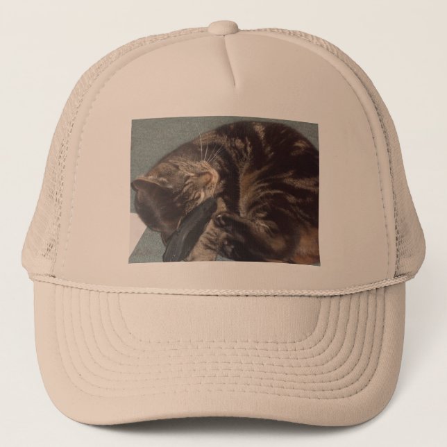 Playful Dave Trucker Hat (Front)