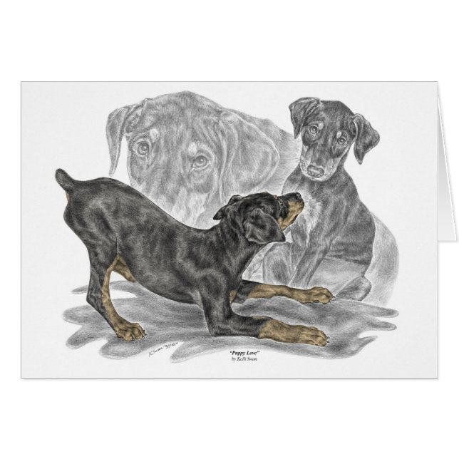 Playful Doberman Pinscher Puppies (Front Horizontal)