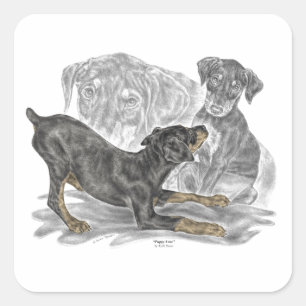 Playful Doberman Pinscher Puppies Square Sticker
