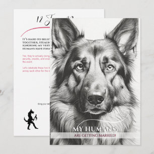 Playful dog‑themed wedding with cheeky Shepherd Holiday Card