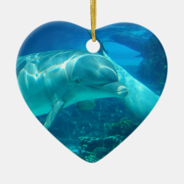 Playful Dolphins Ornaments (Front)