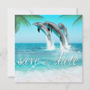 PLAYFUL DOLPHINS TROPICAL OCEAN  Save the Date