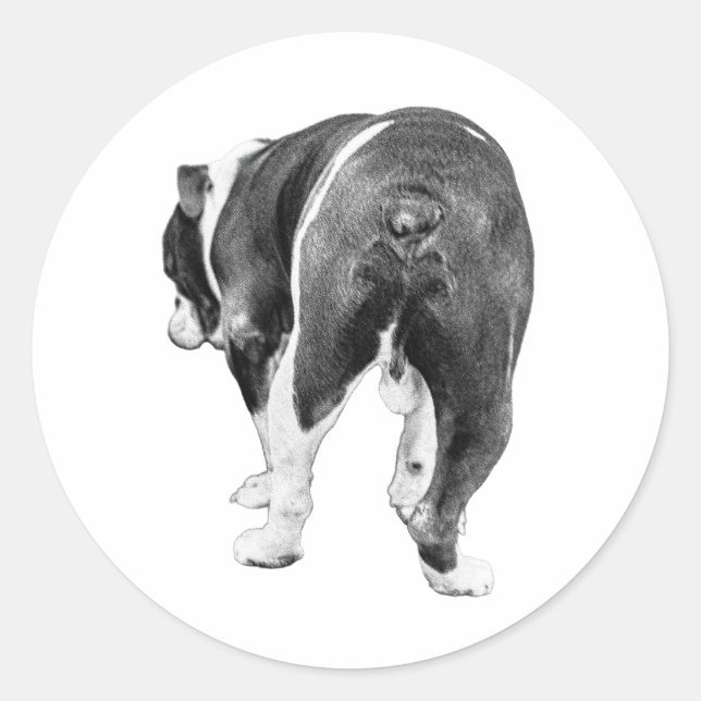 Playful Exit, Feathered Winter Shading Classic Round Sticker (Front)