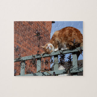 Playful Ginger Cat Jigsaw Puzzle
