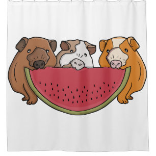Playful Guinea Pigs and Watermelon Illustration
