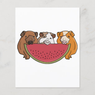Playful Guinea Pigs and Watermelon Illustration Flyer
