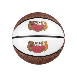 Playful Guinea Pigs and Watermelon Illustration Mini Basketball