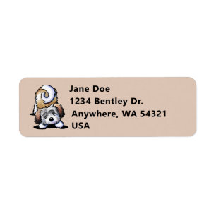 Playful Havanese Address