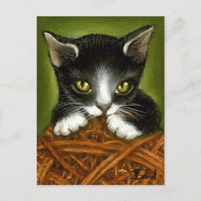 Playful kitten postcard (Front)