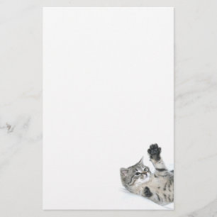 Playful kitten stationery