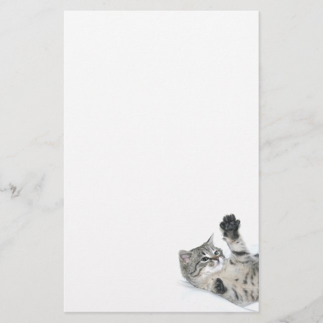 Playful kitten stationery (Front)