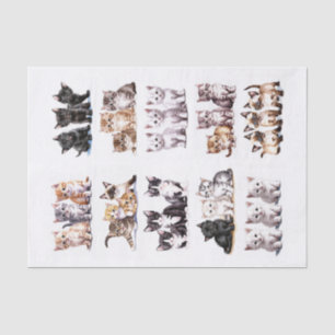 Playful Kittens in Sets of Three Fussy Cuts Tissue Paper