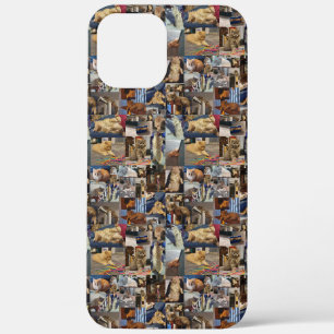 Playful Kittens Photo Collage, iPhone 12 Pro Max Case