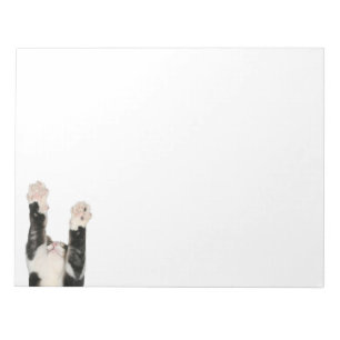Playful kitty cat notepad