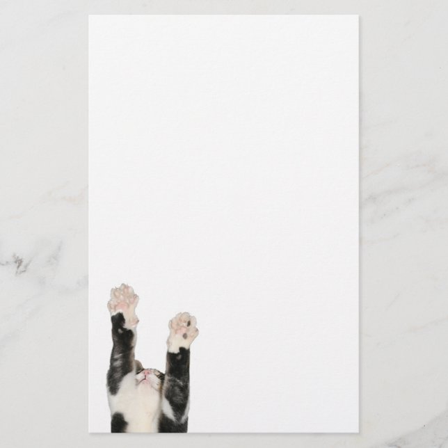 Playful kitty cat stationery (Front)