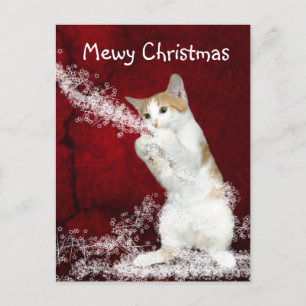 Playful kitty Christmas Holiday Postcard