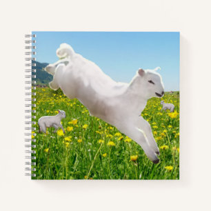 Playful Leaping Lambs Easter   Notebook