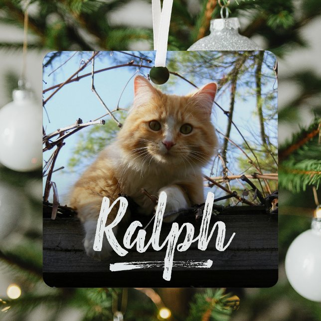 Playful Lettering Pet Photo Christmas Metal Ornament (Creator Uploaded)