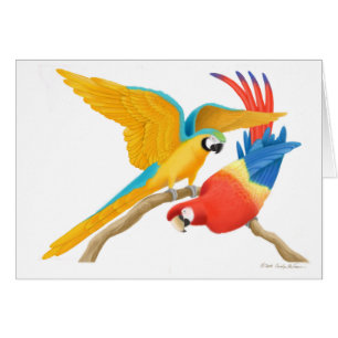 Playful Macaws Card