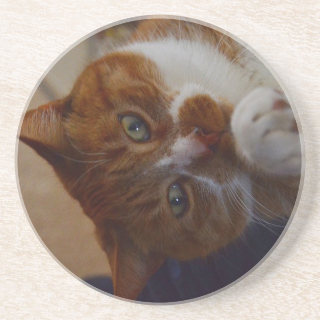Playful Nutmeg. Coaster (Front)