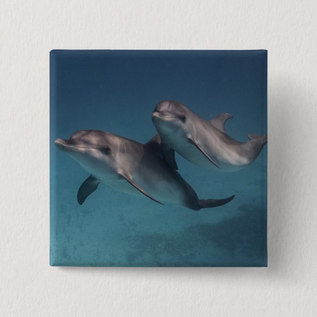 Playful Pose 2 Inch Square Button (Front)