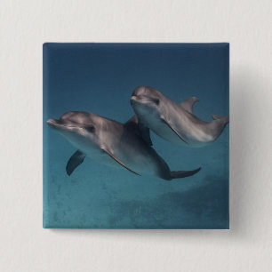 Playful Pose 2 Inch Square Button