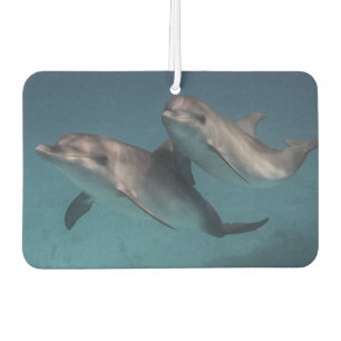 Playful Pose Air Freshener