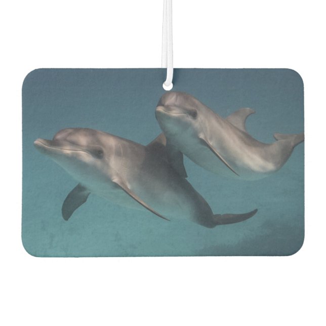 Playful Pose Air Freshener (Front)