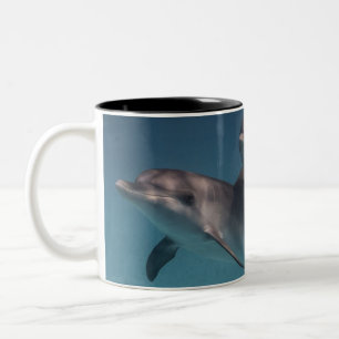 Playful Pose Two-Tone Coffee Mug