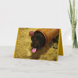 Playful Puppy Holiday Card