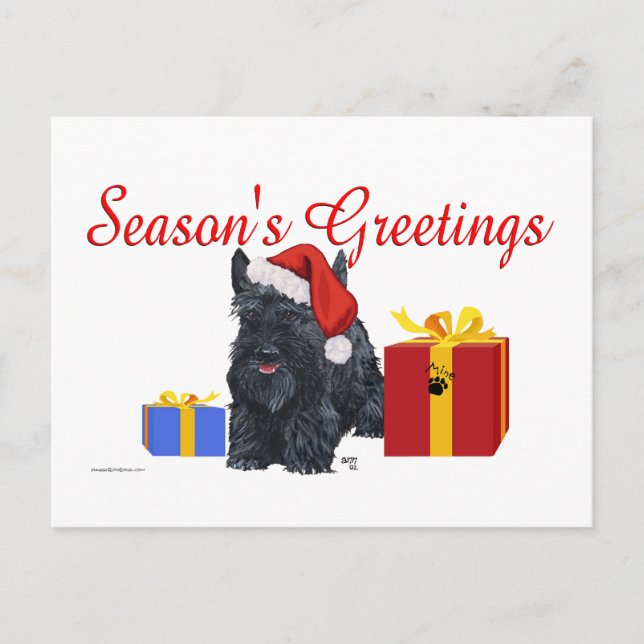 Playful Scottish Terrier Greetings Postcard (Front)