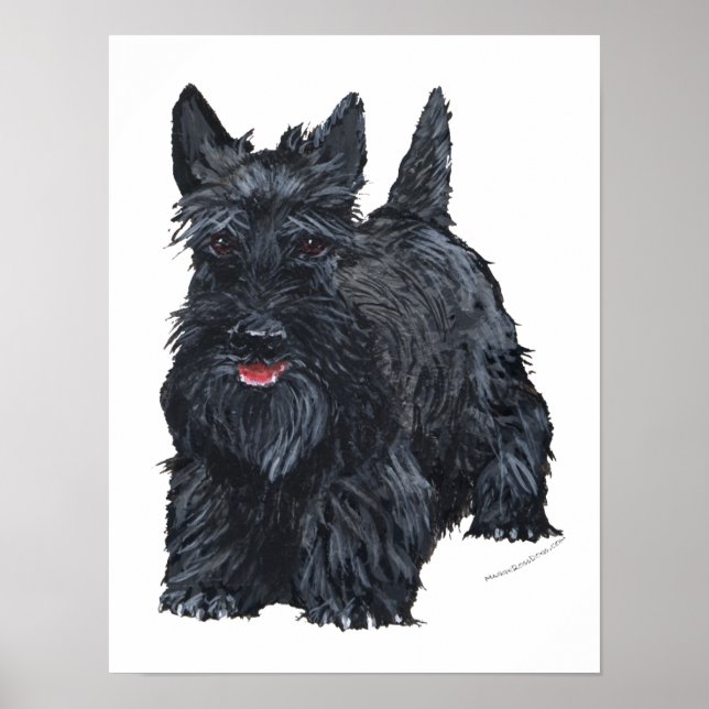 Playful Scottish Terrier Poster (Front)