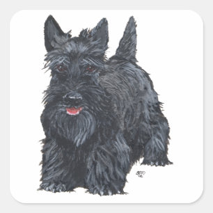 Playful Scottish Terrier Square Sticker