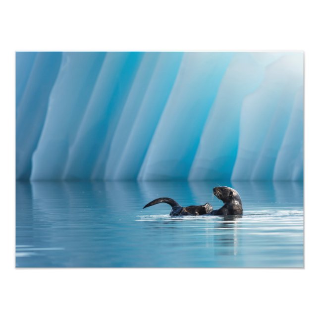 Playful Sea Otter Photo Print (Front)