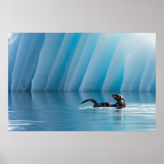 Playful Sea Otter Poster (Front)