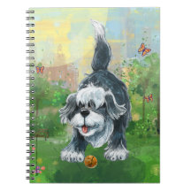 Playful Shaggy Sheep Dog