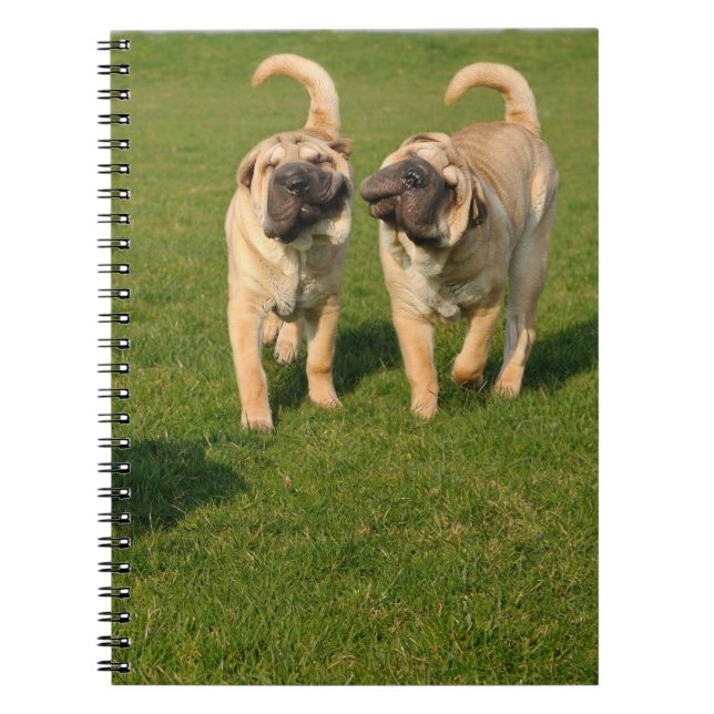 Playful Shar Pei Puppies Notebook (Front)