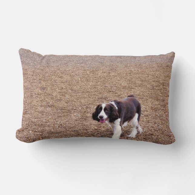 Playful Springer Spaniel Lumbar Pillow (Front)